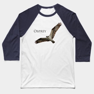 Osprey (Pandion haliaetus) Baseball T-Shirt